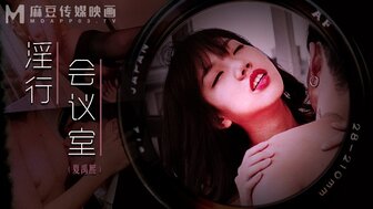 MDWP0023 Having sex with colleague in meeting room